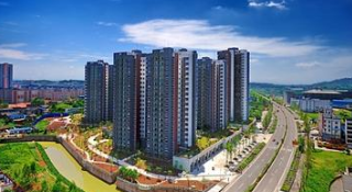 �����p���^(q��)