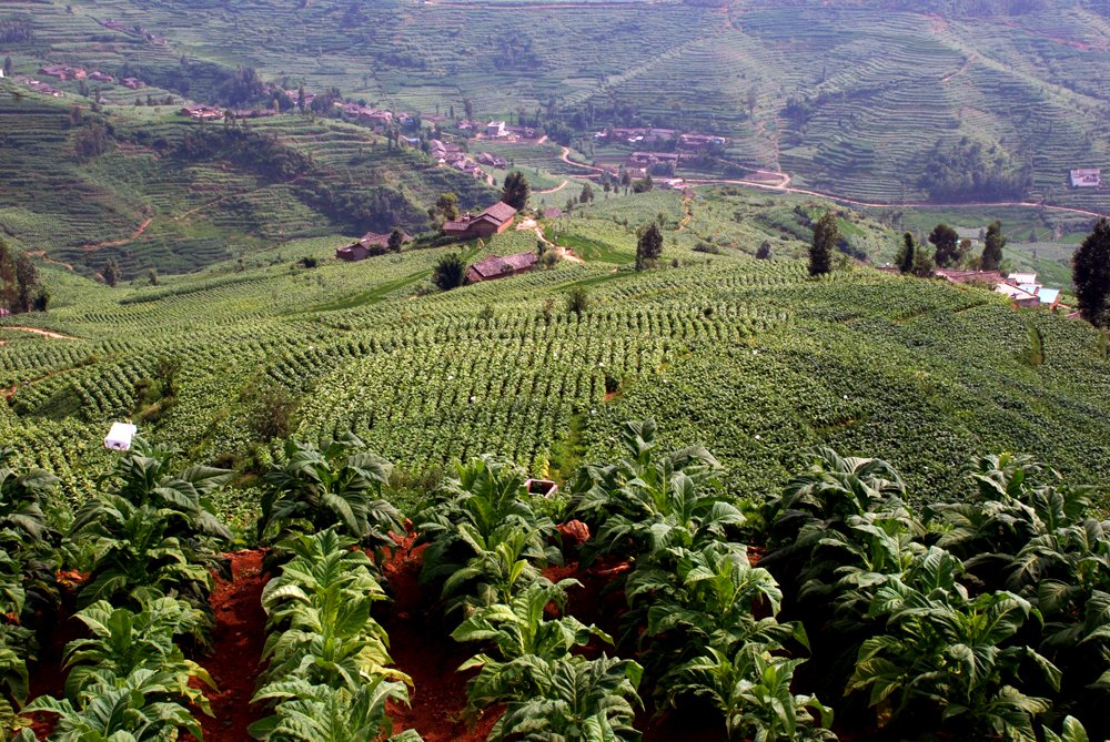 ���|������(chu��ng)��