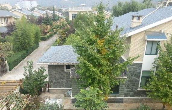 �S���ڄe��