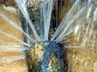 �ܾW(w��ng)©ˮ���ܕ�������ЩӰ���