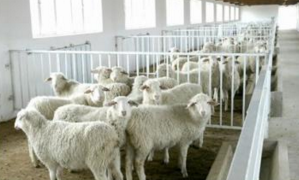 �F(xi��n)���B(y��ng)ֳ�������x����ι�ˮ�O(sh��)����