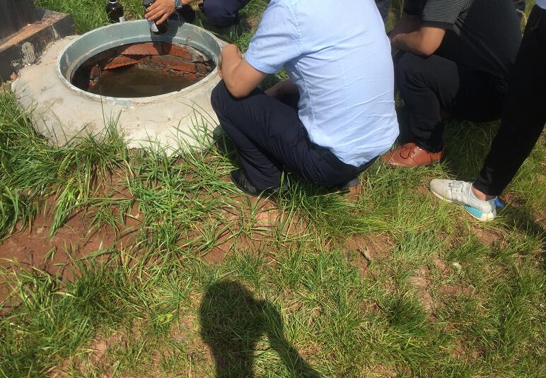 �ߘǌ� �����ι�ˮ���ɿ�����