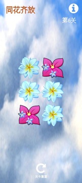 同花齊放
