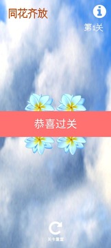 同花齊放