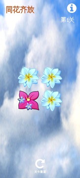 同花齊放