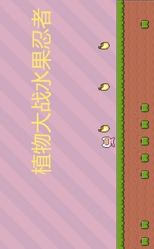 植物大戰(zhàn)水果忍者
